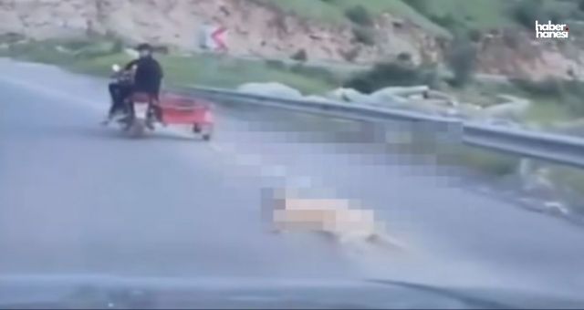 Kahramanmaraş’ta Köpek Sürüklenerek Öldürüldü!