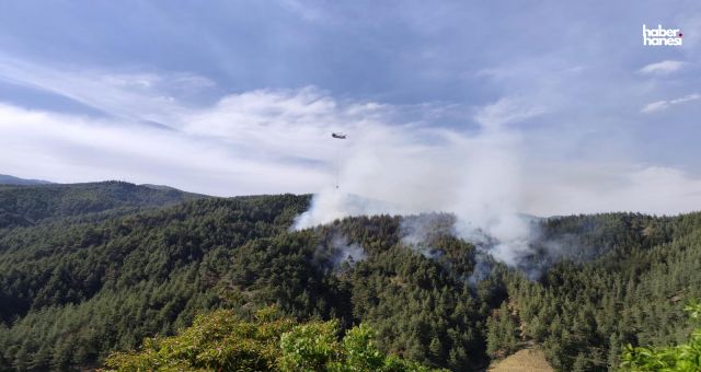 Kahramanmaraş’ta Orman Yangını Alarmı: 5 Helikopterle Müdahale Ediliyor!