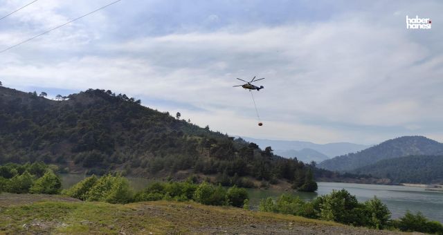 Kahramanmaraş’ta Orman Yangını Korkuttu: 5,5 Hektarlık Alan Kül Oldu