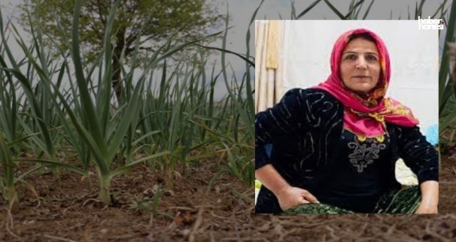Kahramanmaraş’ta Tarlada Çalışan Kadın Hayatını Kaybetti