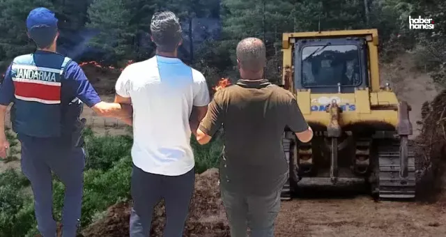 Kahramanmaraş'ta Torpil Şakası Ormanı Kül Etti: 10 Yıla Kadar Hapis Talebi