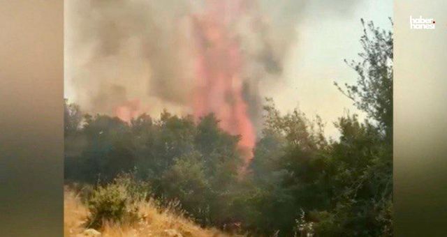 Kahramanmaraş Ormanları İçin Alarm Zilleri Çalıyor