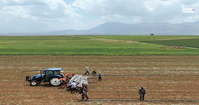 Kahramanmaraş'ta Çiftçiye Müjde: Adatepe Barajı Sulama Projesi Kısmen Devreye Alındı
