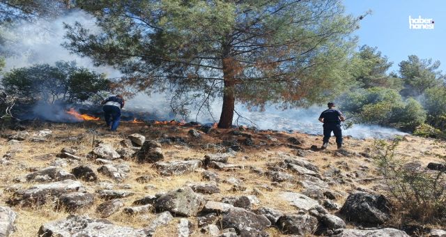 Kahramanmaraş'ta Orman Yangınına Sebep Olan 2 Kişi Yakalandı