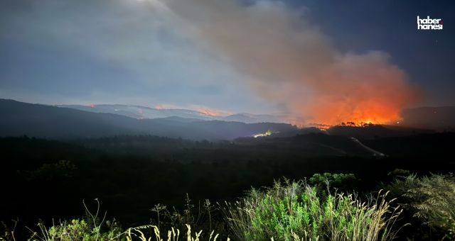 Kahramanmaraş’tan Hatay’a Yangın Desteği: Büyükşehir Ekipleri Sınırda Görevde!