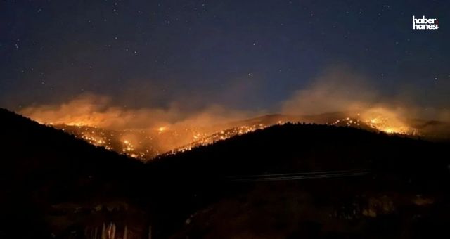 Kahramanmaraş’ta 80 Hektarlık Orman Arı Tütsüsü Yüzünden Yandı!