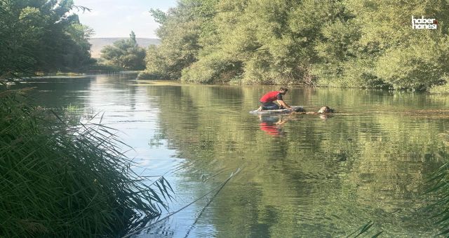 Kahramanmaraş’ta Suya Giren Genç Akıntıya Kapılarak Boğuldu!