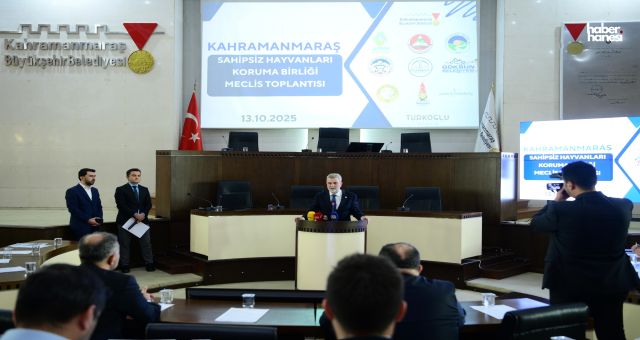 Kahramanmaraş Sahipsiz Hayvanları Koruma Birliği İlk Toplantısını Yaptı