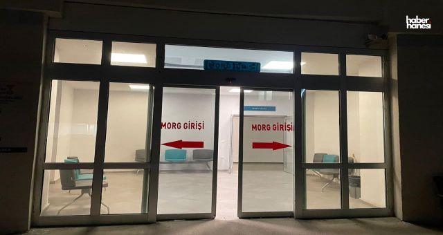Kahramanmaraş’ta Arı Sokması Ölümle Sonuçlandı