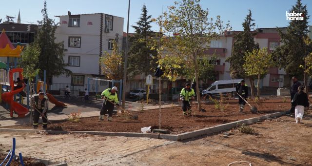 Şehitkamil’de Yeşil Dönüşüm Başladı: Selimiye Parkı Baştan Aşağı Yenileniyor