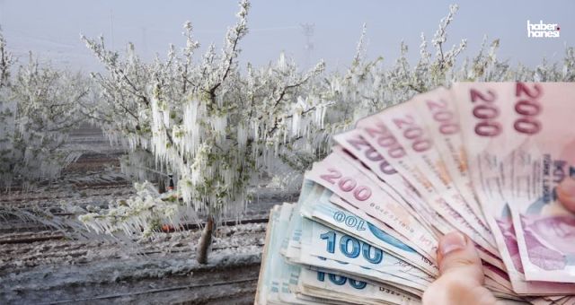 Kahramanmaraşlı Çiftçiye Rekor Destek: 1,7 Milyar TL Ödeme