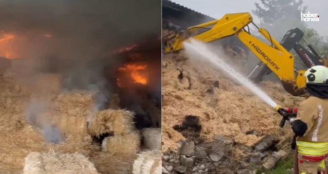Kahramanmaraş'ta Samanlık Alev Alev Yandı