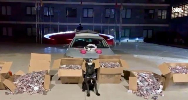 Kahramanmaraş’ta Narkotik Ekiplerinden 20 Milyonluk Operasyon