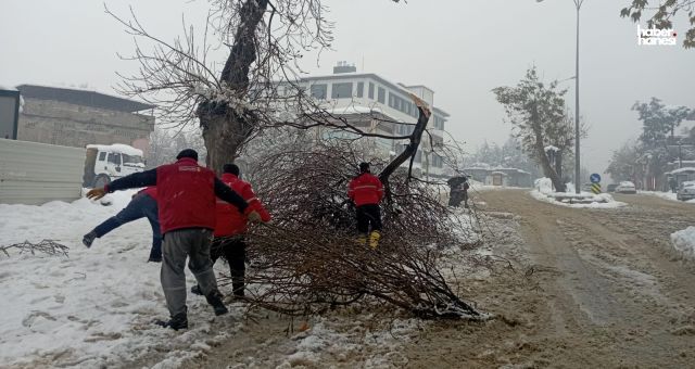 Kahramanmaraş Büyükşehir Kış Mesaisini Sürdürüyor; Kırılan Dallara Anında Müdahale