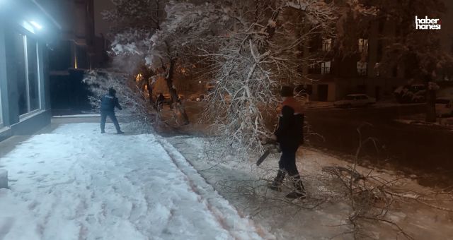 Kahramanmaraş Büyükşehir’den Kar Mesaisi: Kırılan Ağaç Dalları Tek Tek Toplanıyor