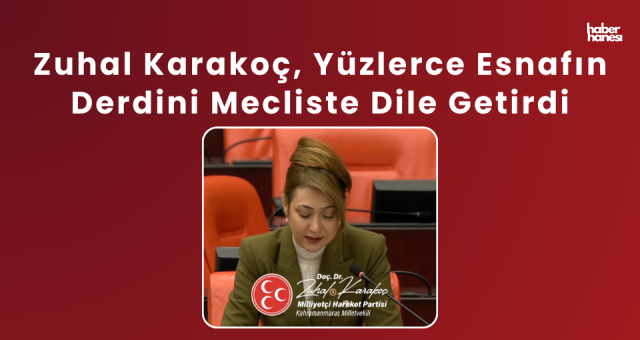 Zuhal Karakoç, Yüzlerce Esnafın Derdini Mecliste Dile Getirdi