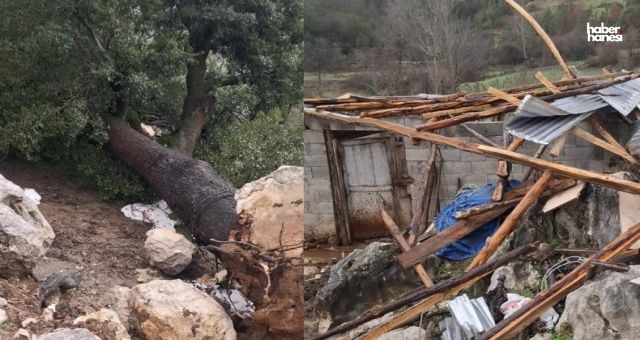 Kahramanmaraş Andırın’da Hortum Dehşeti: Çatılar Uçtu, Ağaçlar Devrildi