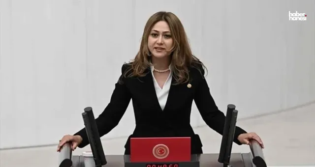 Milletvekili Zuhal Karakoç'tan Çocuklara Dövme Yasağı Teklifi