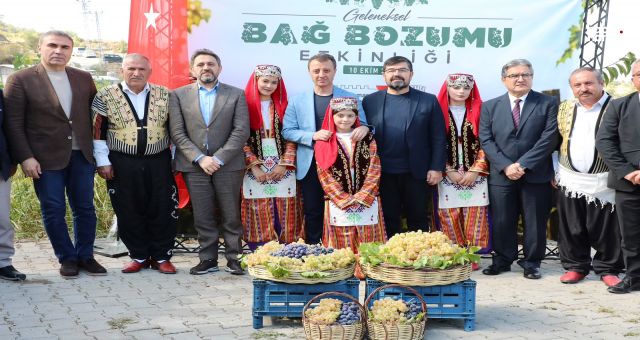 Bertiz’in Üzüm Geleneği Yaşatılıyor: Kahramanmaraş’ta Bağ Bozumu Etkinliği