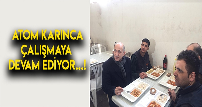 Atom Karınca Dur Durak Bilmiyor!