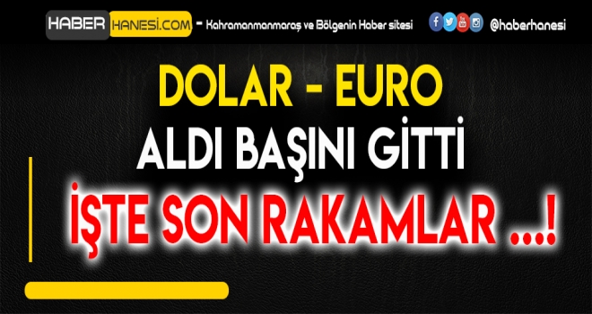 DOLAR - EURO ALDI BAŞINI GİTTİ