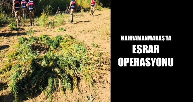 ESRAR YETİŞTİRENLER YAKALANDI