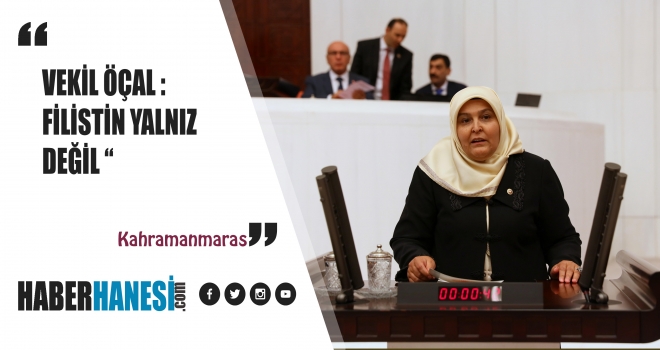 Öçal “Filistin’i Yalnız Bırakmayacağız”