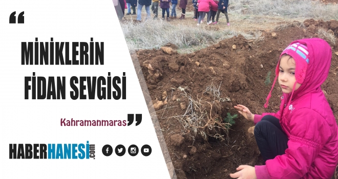 MİNİKLERİN FİDAN SEVGİSİ
