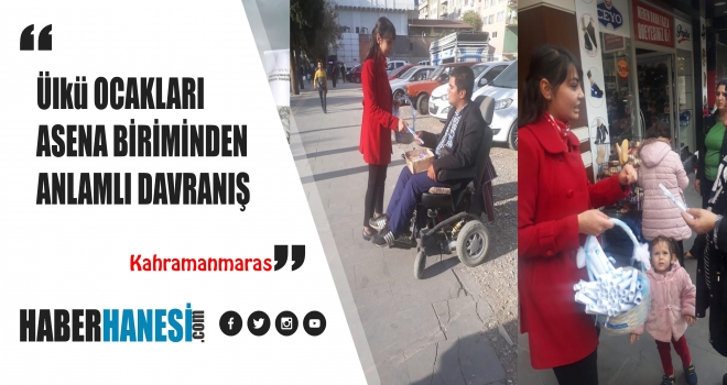 ÜLKÜ OCAKLARI ASENA BİRİMİNDEN ÖRNEK DAVRANIŞ