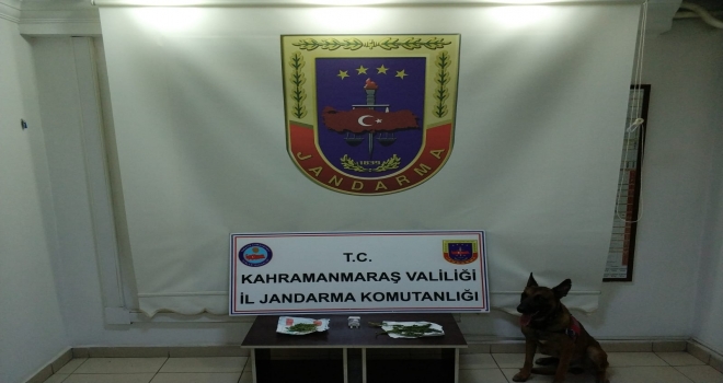 KAHRAMANMARAŞ'TA JANDARMA YAKALADI