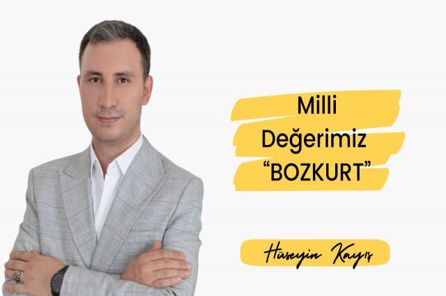 Milli Değerimiz 'Bozkurt'