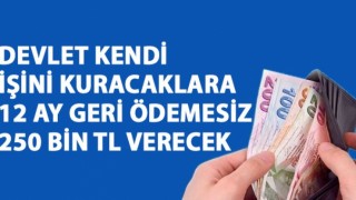 İŞİNİ KURACAKLARA MÜJDE 12 AY GERİ ÖDEMESİZ 250 BİN TL VERİLECEK!