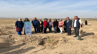 Elbistan Deprem Mezarlığında Fidanlar Toprakla Buluşturuldu