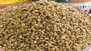 Vücudu Protein ve Kalsiyuma Boğuyor! Şifa Deposu Kuru Dutun 7 Faydası!