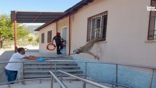 Kahramanmaraş İtfaiyesi, Demir Korkuluklara Sıkışan köpeği Kurtardı