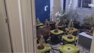 Kahramanmaraş'ta Narkoçelik-40 ile Zehir Tacirlerine Büyük Darbe!