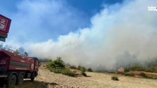 Kahramanmaraş'ta Yangın Felaketi: 15 Hektar Orman Kül Oldu!
