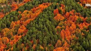 Kahramanmaraş ve Osmaniye Sınırındaki Düldül Dağı, Sonbaharda Görsel Şölen Sunuyor