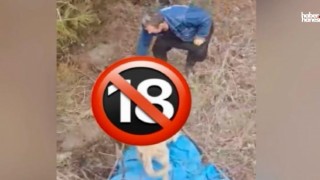 Kahramanmaraş Andırın'da Sokak Köpekleriyle İlgili İddialar Tepki Çekti