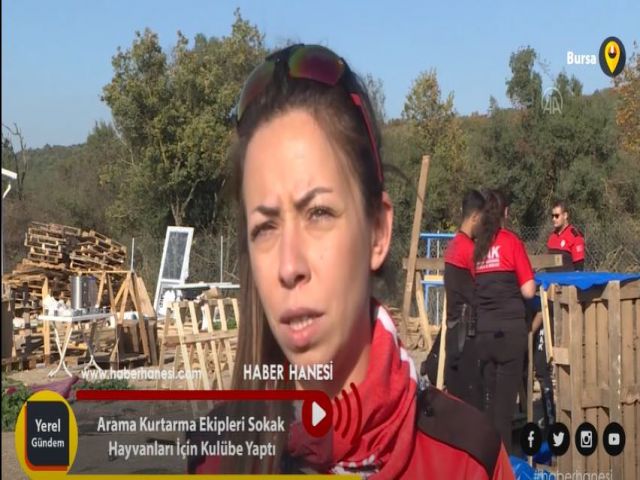 Bursa Arama Kurtarma Ekipleri Sokak Hayvanları İçin Kulübe Yaptı